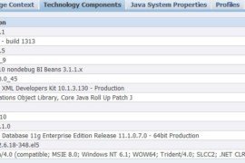 Find correct version of JDeveloper to use with EBS R12.x