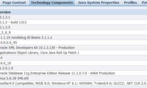 Find correct version of JDeveloper to use with EBS R12.x