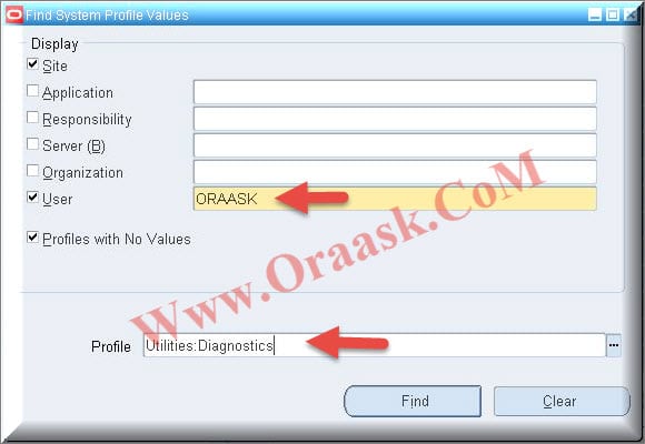 Set Utilities:Diagnostics profile option value