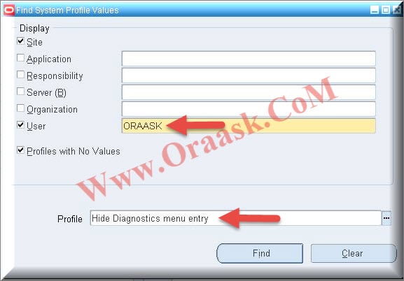 Hide Diagnostics menu entry profile option value
