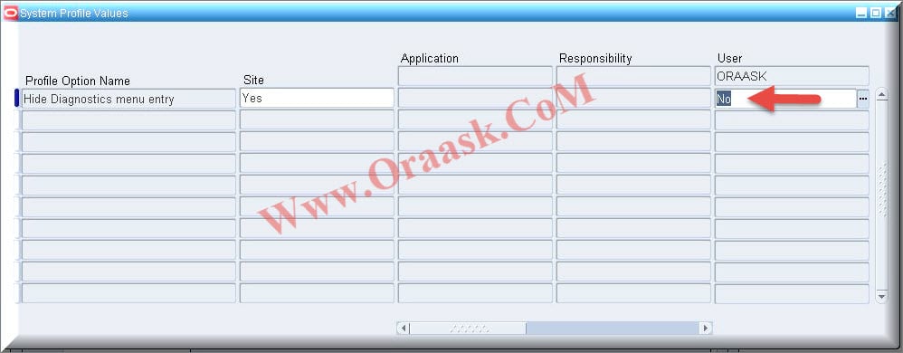 Enable Diagnostics in Oracle apps 1