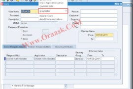 Enable Diagnostics in Oracle apps