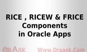 RICE , RICEW And FRICE components in oracle apps