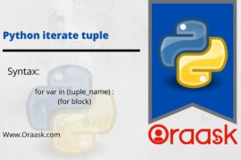 Python iterate tuple