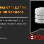 What are i,g, and c Meaning in Oracle Database Versions