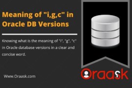 What is the meaning of i, g, and c in Oracle Database Version