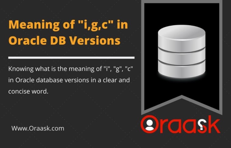 What is the meaning of i, g, and c in Oracle Database Version