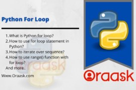 Python For Loop