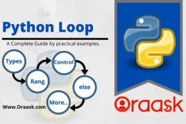 Python Loop Statements