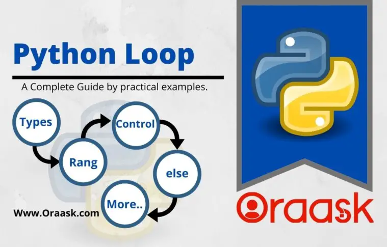 Python Loop Statements