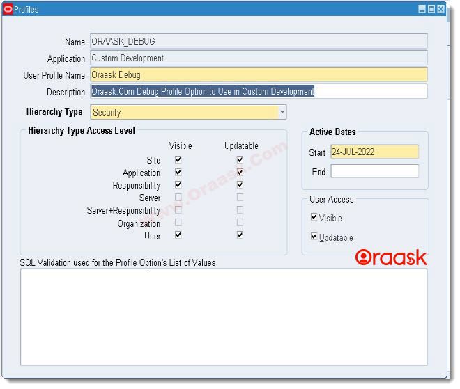 How to Create Profile Option in Oracle APPS R12 Figure2