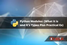 Python Modules