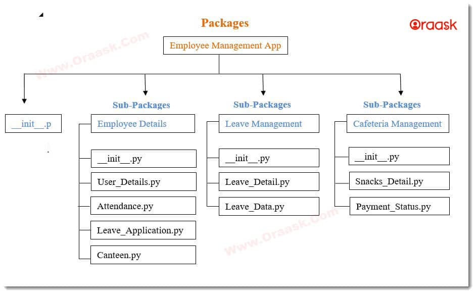 Python Packages Figure 1