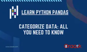 Python Pandas Categorize Data: All You NEED to Know