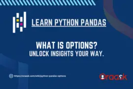 Exploring Python Pandas Options: Your Data Power Tool