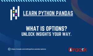 Exploring Python Pandas Options: Your Data Power Tool